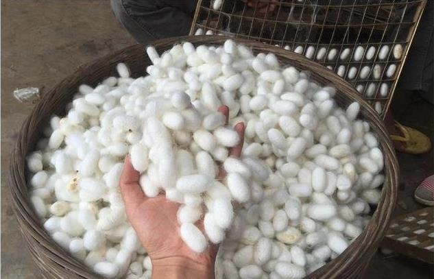 仿丝棉生产厂家分析仿丝棉产品
